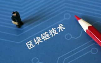 2024年新澳原料免费提供|未来科技探索之旅_至尊版.0.351