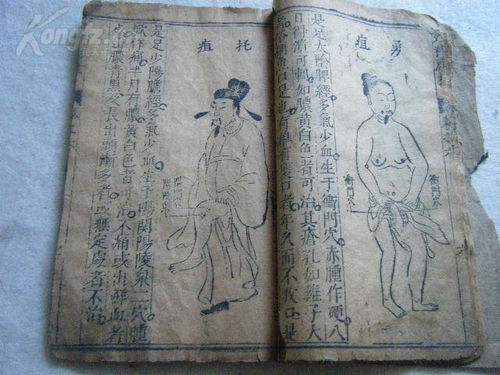 (玄龄独收人物致幕府,与诸将密相申结,人人愿尽死力)玄龄和追魂哪个值得买？买前先了解产品优缺点，不要后悔！