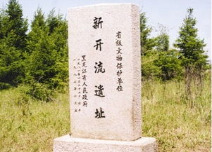 (文化和遗址有什么区别)文化和遗址的区别在哪里？解析两者间的本质差异