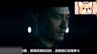 (金蝉脱壳是真实事件吗)揭秘金蝉脱壳之谜：历史疑案解析与推理排解