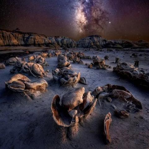 (爱情公寓2星辰影视)爱情公寓2星空影视在线观看，激动人心的爱情故事即将再次上演