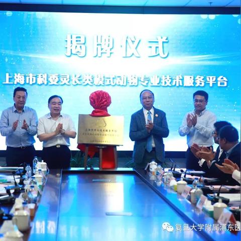 二四六全年免费大全港免费资料大全|探索神秘财富的秘密之旅_专属款.0.192