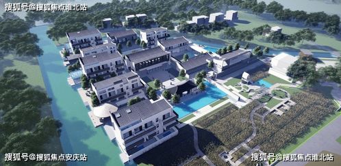 2024澳门天天开好彩大全4|高效解答解释落实_电子集.1.384