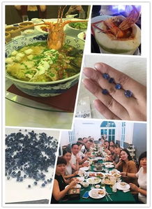 大赢家澳门4949彩论坛高手|探秘澳门美食文化之旅_潮流版APP.2.886