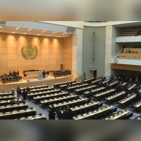 2024澳门六开奖彩查询记录|理论依据解释落实_特定款.5.777