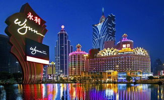 澳门一码一码100准确 官方4.30|探索城市中的未知魅力_工具版.5.858