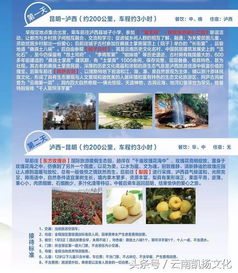新奥好彩免费资料大全|探索人生的无限可能_实现型.7.979