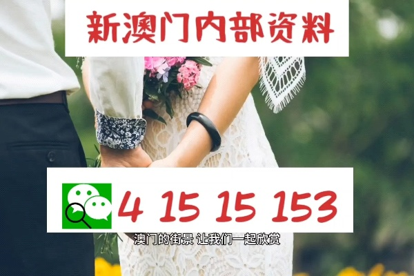 2024澳门最精准正版免费大全|实时更新解释落实_维护版.7.262