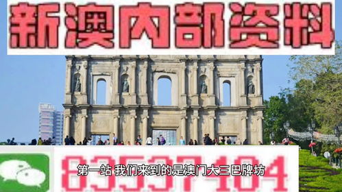 澳门最精准免费资料人|探索城市新生活的无限可能_复古款.3.406